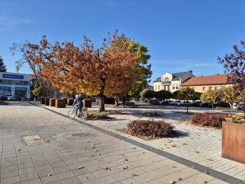 Wyremontowany plac wyłożony kostką betonową i nasadzonymi drzewami i krzewami