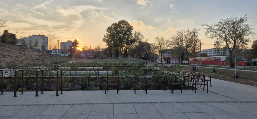 Park z ławkami i nasadzonymi młodymi drzewami między chodnikami