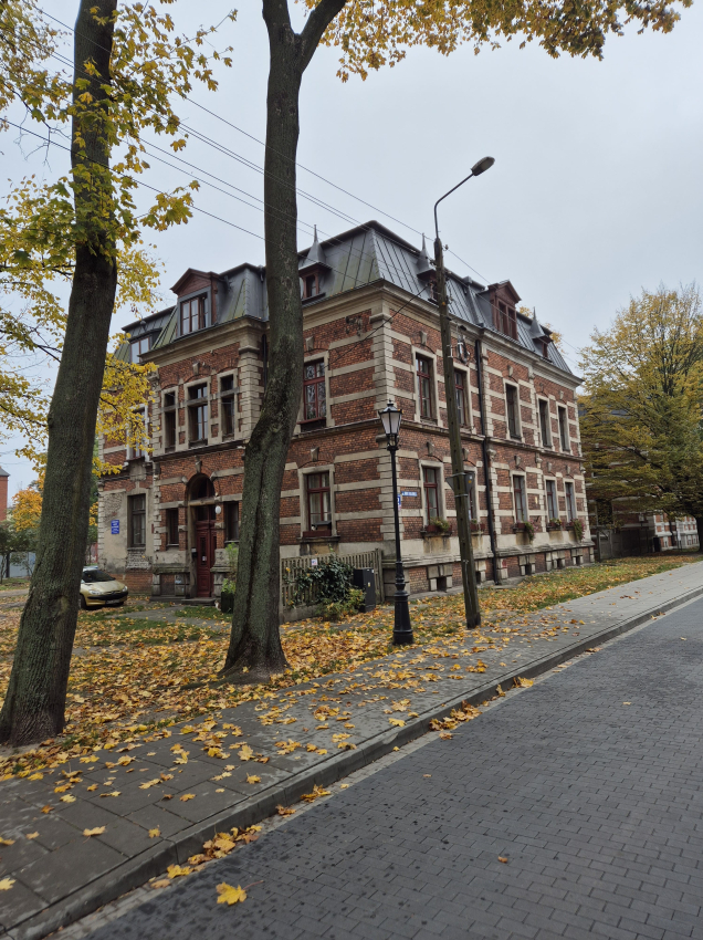 Kamienica z czerwonej cegły za wysokimi drzewami przy ulicy z ciemnej kostki