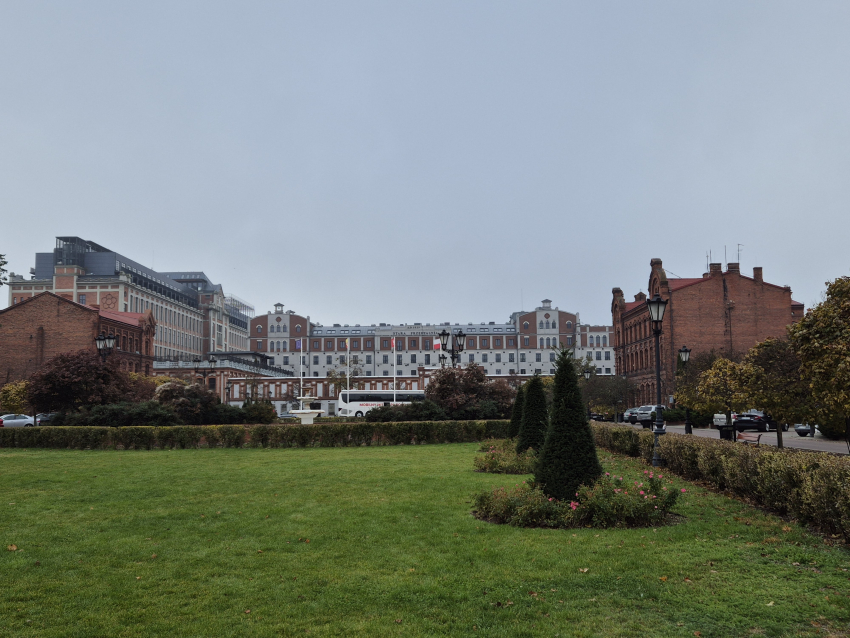 Trawnik z niskimi krzewami na tle dużych budynków