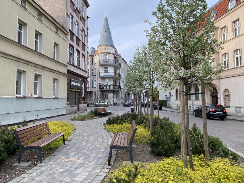 Wybrukowany deptak między grzędkami kwiatów z niskimi drzewami. Przy deptaku dwie drewniane ławki. W tle zabytkowe kamienice.