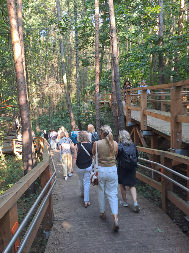 Grupa ludzi idąca ścieżką w lesie