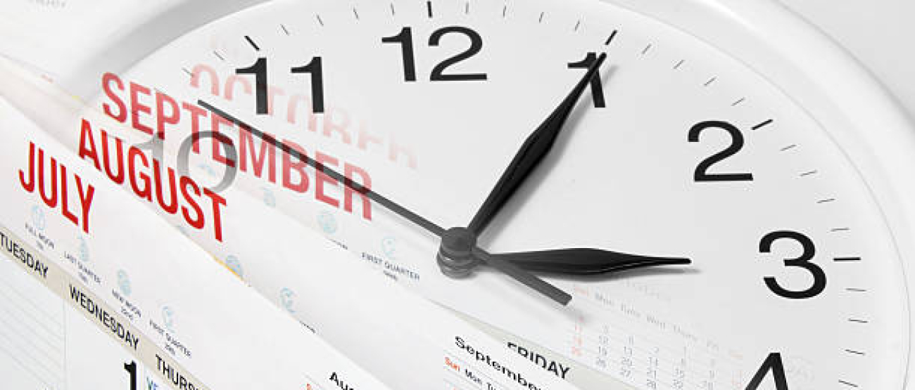 Zdjęcie dekoracyjne