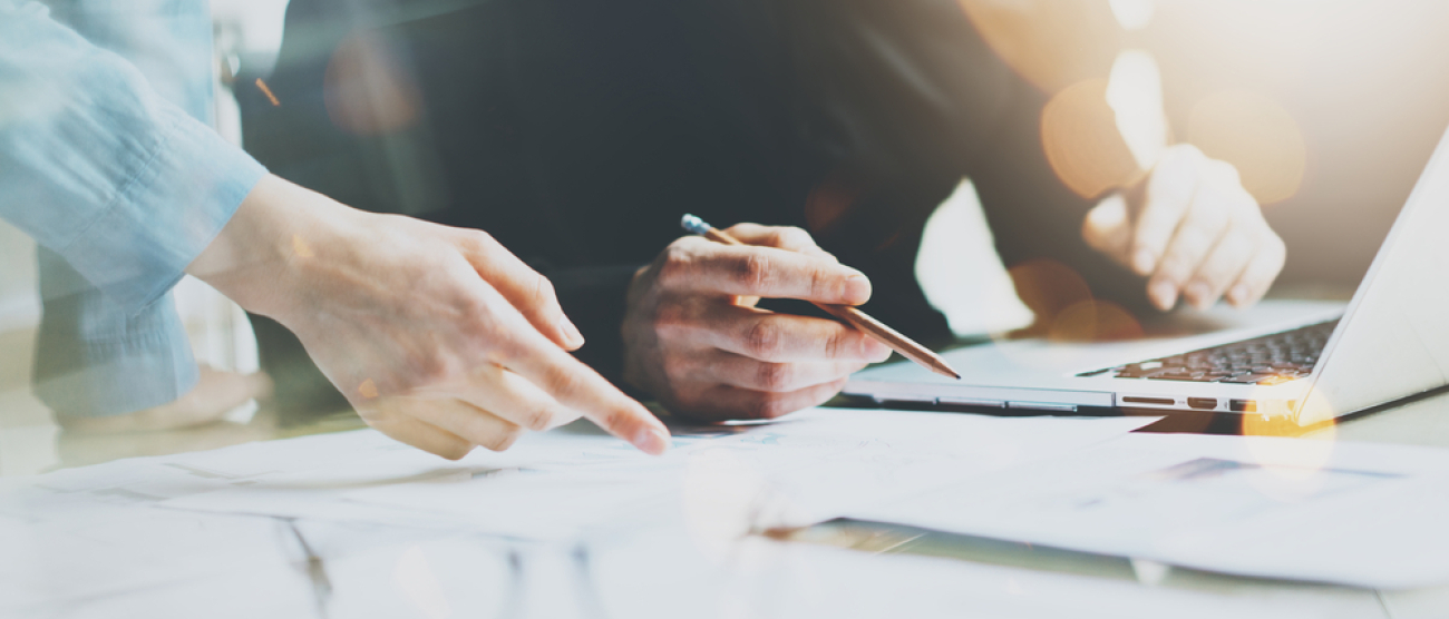 Zdjęcie dekoracyjne