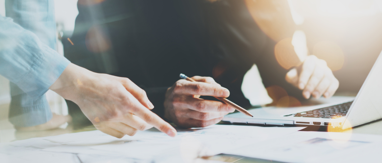 Zdjęcie dekoracyjne