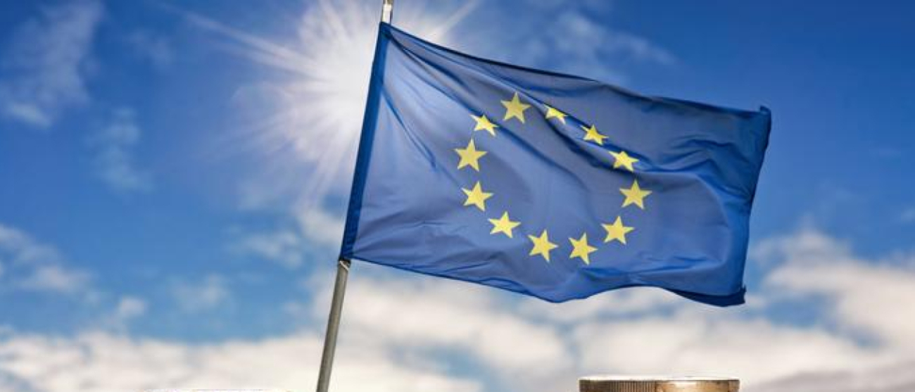 zdjęcie dekoracyjne